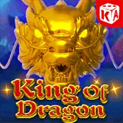 Chính sách hạn chế lưu trữ dữ liệu của 58vin app